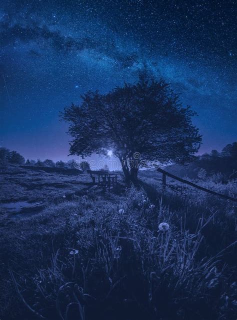 Majestic Night In A Carpathian Valley Stock Photo Image Of Scenery