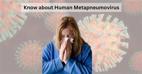 Explained What Is Human Metapneumovirus