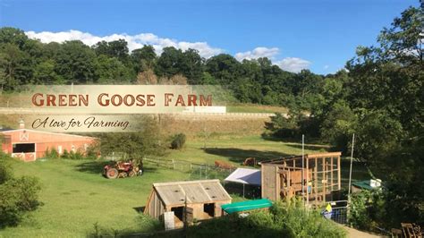 Green Goose Farm | Family-Run Pittsburgh Farm | Visit us today