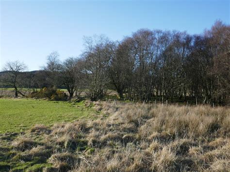 Woodland Near Luib Cottages Jonathan Thacker Cc By Sa 2 0 Geograph