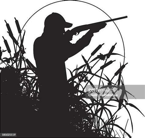 20 Pheasant Hunting Silhouette Stock Photos, High-Res Pictures, and ...