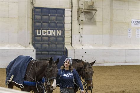 The Polo Express Uconn Today