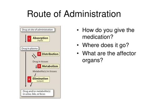 Routes Of Administration