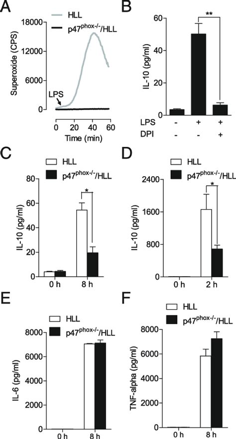 Lps Induced Ros Production Is P47 Phox Dependent In Macrophages And