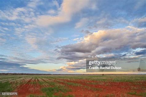 Surat Queensland Photos and Premium High Res Pictures - Getty Images