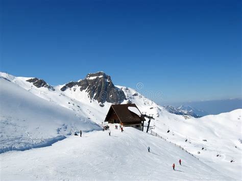 Skiing in swiss alps stock image. Image of europe, holiday - 11960569