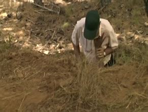 La Noche De Los Girasoles Nude Scenes Aznude