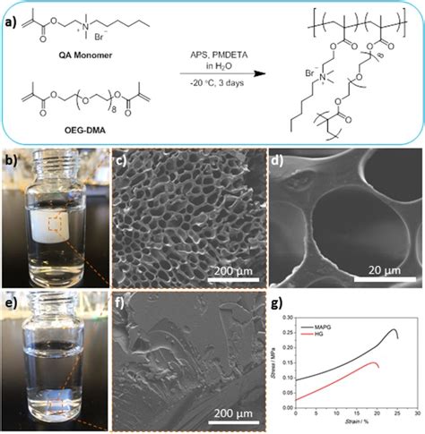 Highly Bactericidal Macroporous Antimicrobial Polymeric Gel For Point