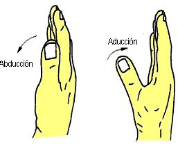 Movimiento De Abducci N