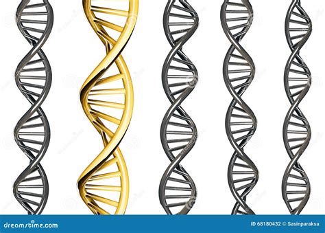 DNA Gold Outstanding From Silver DNA Isolated On White Background 3d