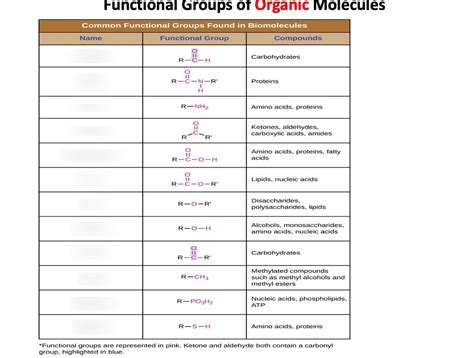 Organic Molecules Diagram | Quizlet 
