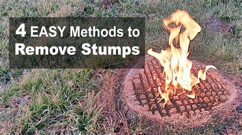 How To Remove Tree Stumps 4 Easy Diy Methods Youtube