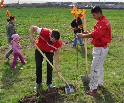 Voluntarii Crucii Rosii Plantam Copaci Societatea Na Ional De