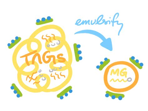 Lipid Emulsification – The Other Library.