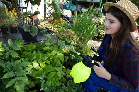 Un Empleado De Una Tienda Salpica Agua En Las Hojas De Las Plantas De