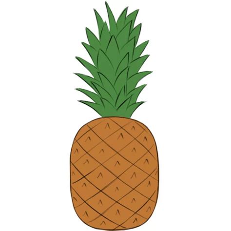 How Draw A Pineapple - Infoupdate.org