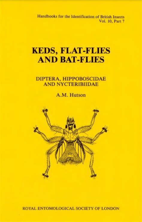 Diptera Hippoboscidae And Nycteribiidae Keds Flat Flies And Bat