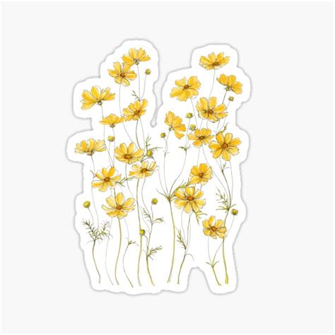 Yellow Cosmos Flowers Sticker For Sale By JRoseDesign Redbubble