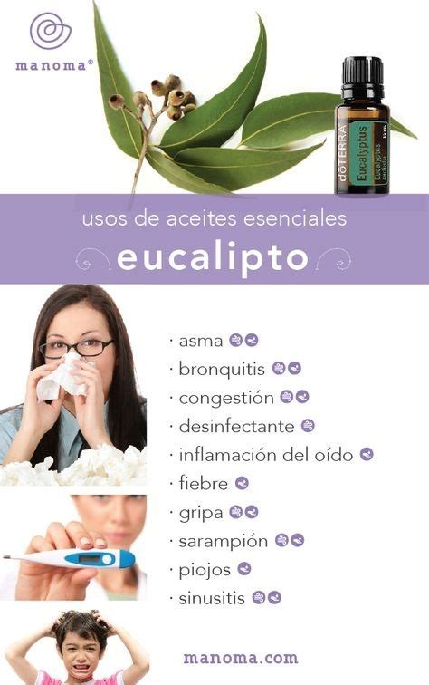 Aceite Esencial De Eucalipto Doterra 15ml Tos Bronquitis S 95 00 En