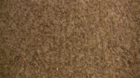 Chloe James Solo Hot Videos Clips Sale