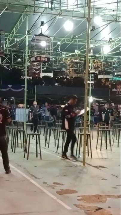 lomba burung cucak ijo sampai malam youtube