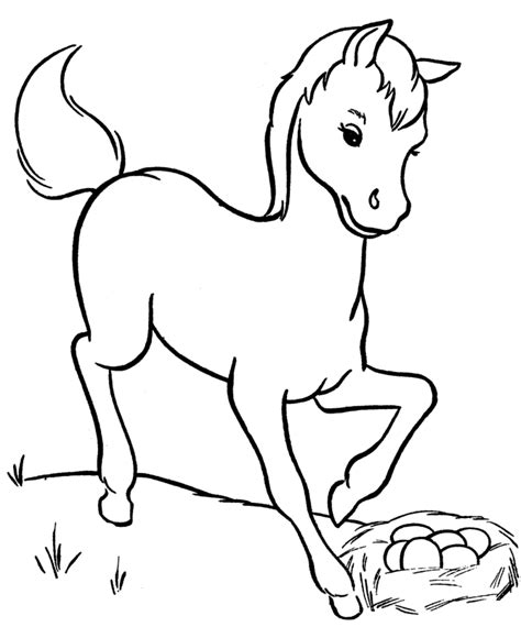 Baby Horse Coloring Pages - Coloring Home