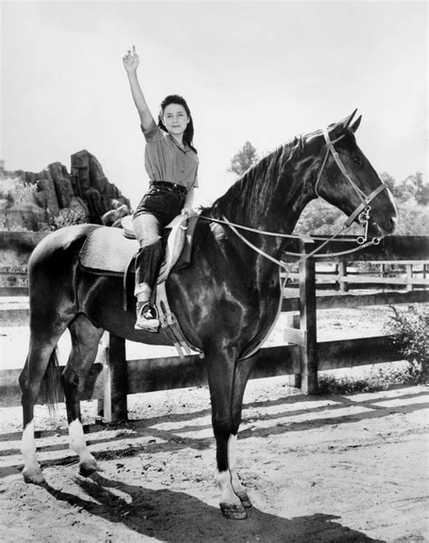 National Velvet Lori Martin Poster Print X Walmart