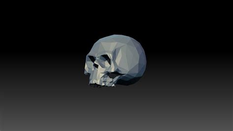 Free 3D Skull Low Poly Model - TurboSquid 1857648