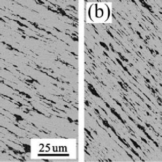 SEM Micrographs Of Longitudinal Cross Section Of The Hot Extruded