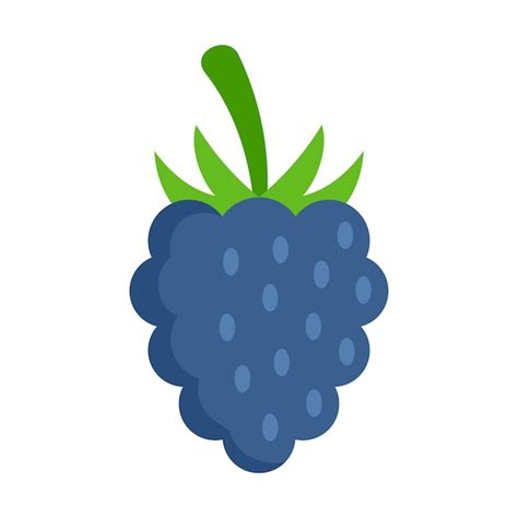 Premium Vector Fresh Blackberry Icon Flat Illustration Of Fresh