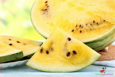 Uncovering The Origins Of Yellow Watermelon A Refreshing Twist On A Timeless Fruit [updated