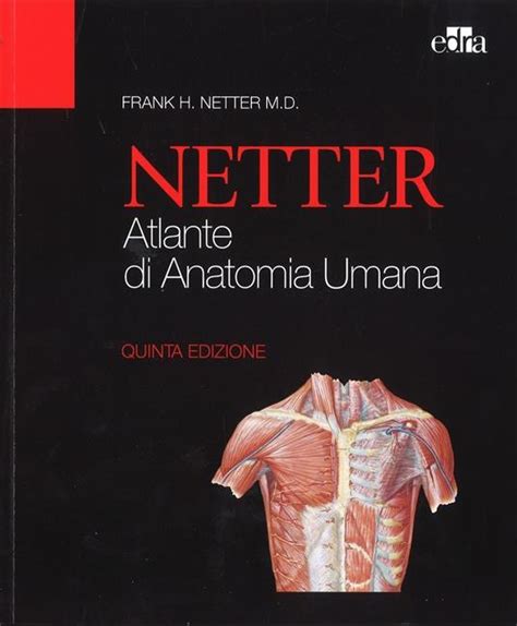 Netter Gray L Anatomia La Chiarezza E Il Fascino Dell Anatomia