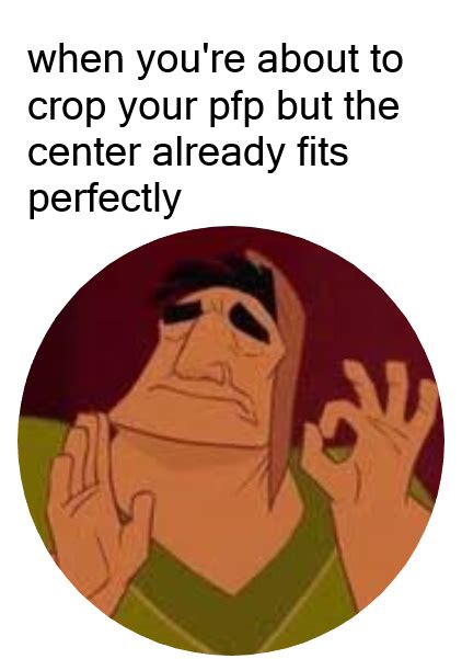 Meme Pfp Funny 25 Best Memes About Pfp Pfp Memes 422 X 601 Jpeg Images