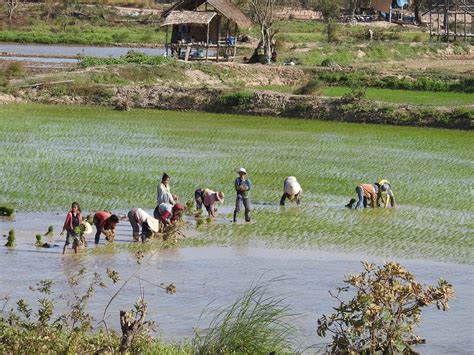 New Report Highlights The Loss Of Wetlands In The Lower Mekong Region