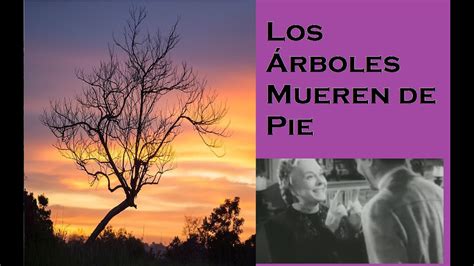 Resumen Los Árboles Mueren De Pie en 8 minutos YouTube