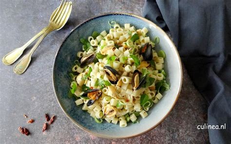 Pasta Salade Met Mosselen En Artisjok Culinea Nl