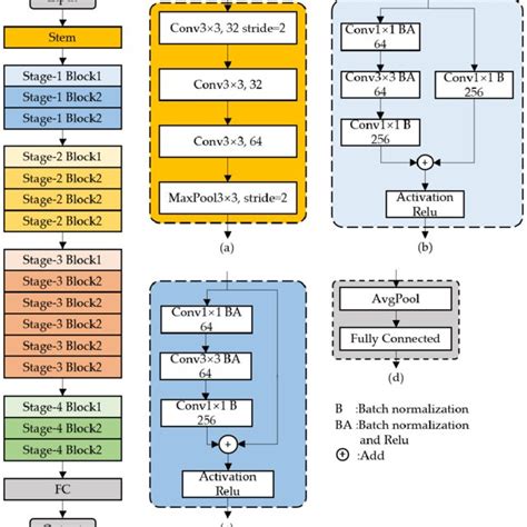 The Architecture Of Resnet 50 Vd A Stem Block B Stage1 Block1 Download Scientific