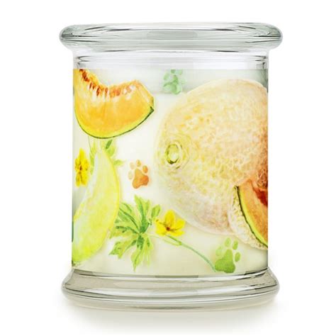 Pet House Candles New Scents Pet Age