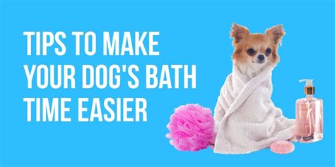 Tips To Make Your Dog's Bath Time Easier - BarkNet