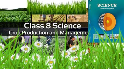 CHAPTER 1 CROP PRODUCTION AND MANAGEMENT CLASS 8 NCERT SCIENCE YouTube