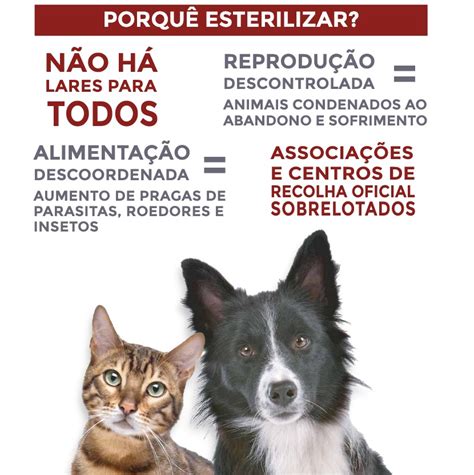 Entroncamento Programa de Apoio à Esterilização de Animais de