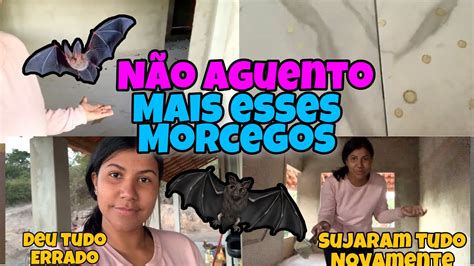 Vlog Os Morcegos Novamente Sujaram Os Porcelanatos Calacata N O