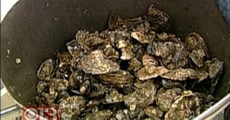 Chesapeake Bay Foundation Works To Restore Oyster Population Cbs Baltimore