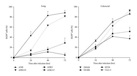 In Vitro Oncolytic Properties Of Measles Virus Against Human