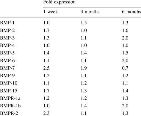 Gene expression analysis of the bone morphogenic protein (BMP) family... | Download Table