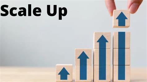 Mengenal Apa Itu Scale Up Ciri Ciri Dan Tips Melakukan Scale Up