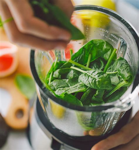 Food Processor vs. Blender: What's the Difference? - PureWow