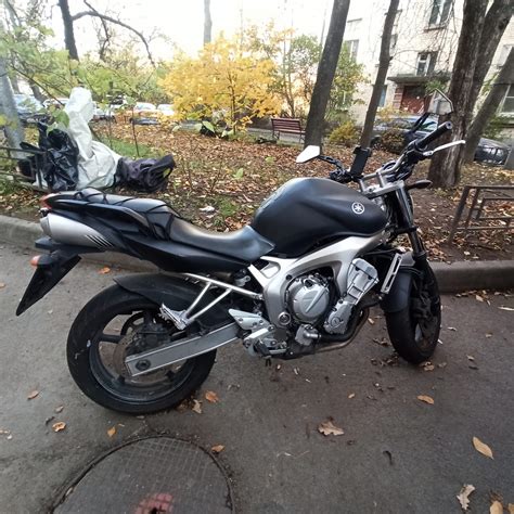 Naked Motorcycles Models Photos Reviews Bike Net