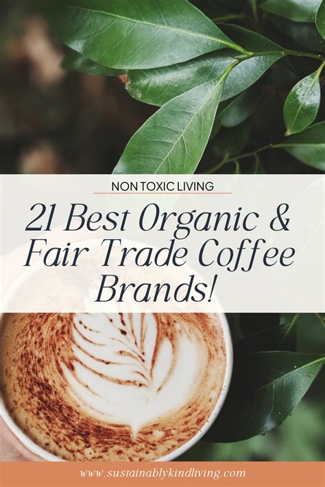 21 Best Organic Fair Trade Coffee Brands In 2024 Mold Free