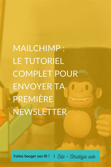 Vous Voulez Envoyer Une Newsletter Mais Ne Savez Pas Comment Faire Ce